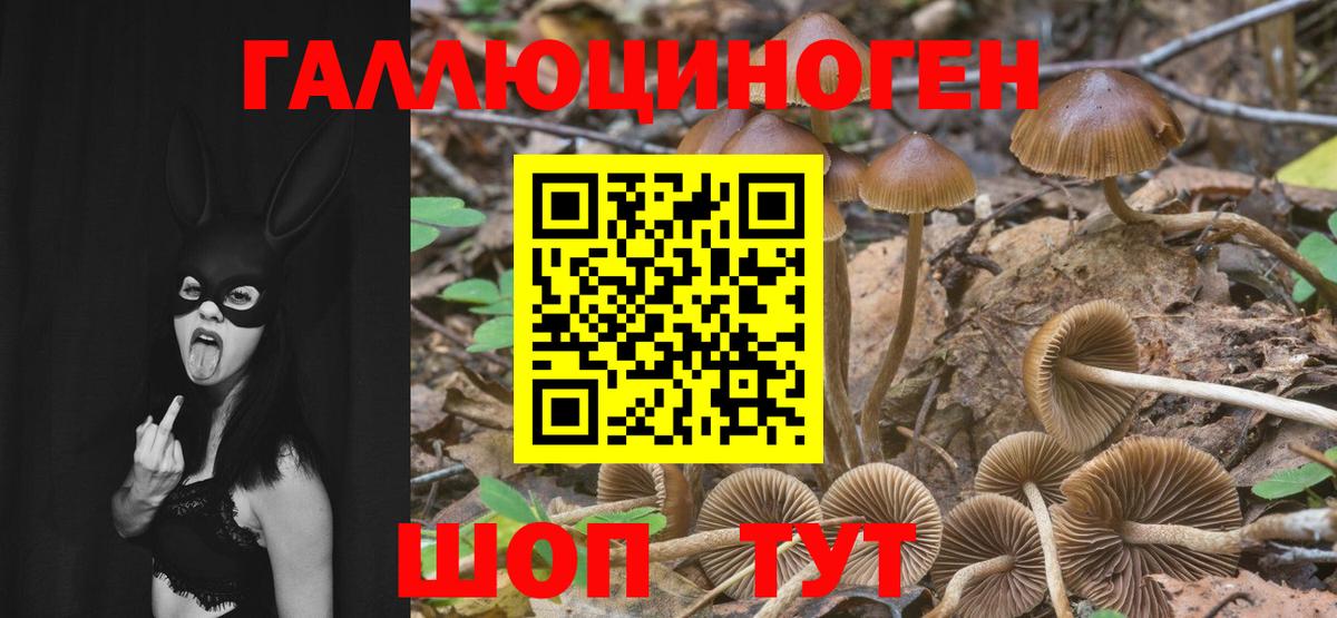 Галлюциногенные грибы ЛСД Можга