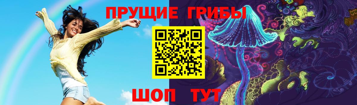Псилоцибиновые грибы MAGIC MUSHROOMS  Псилоцибиновые грибы Magic Shrooms  Вход с VPN  Можга 